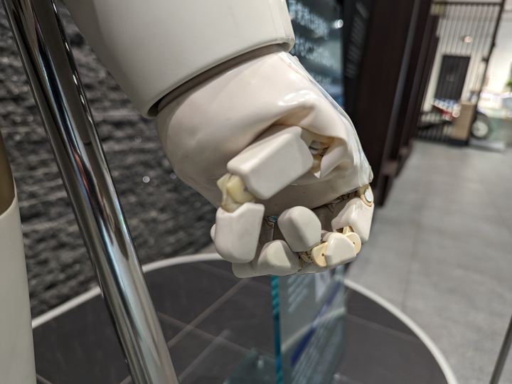 Humanoid Home Helpers