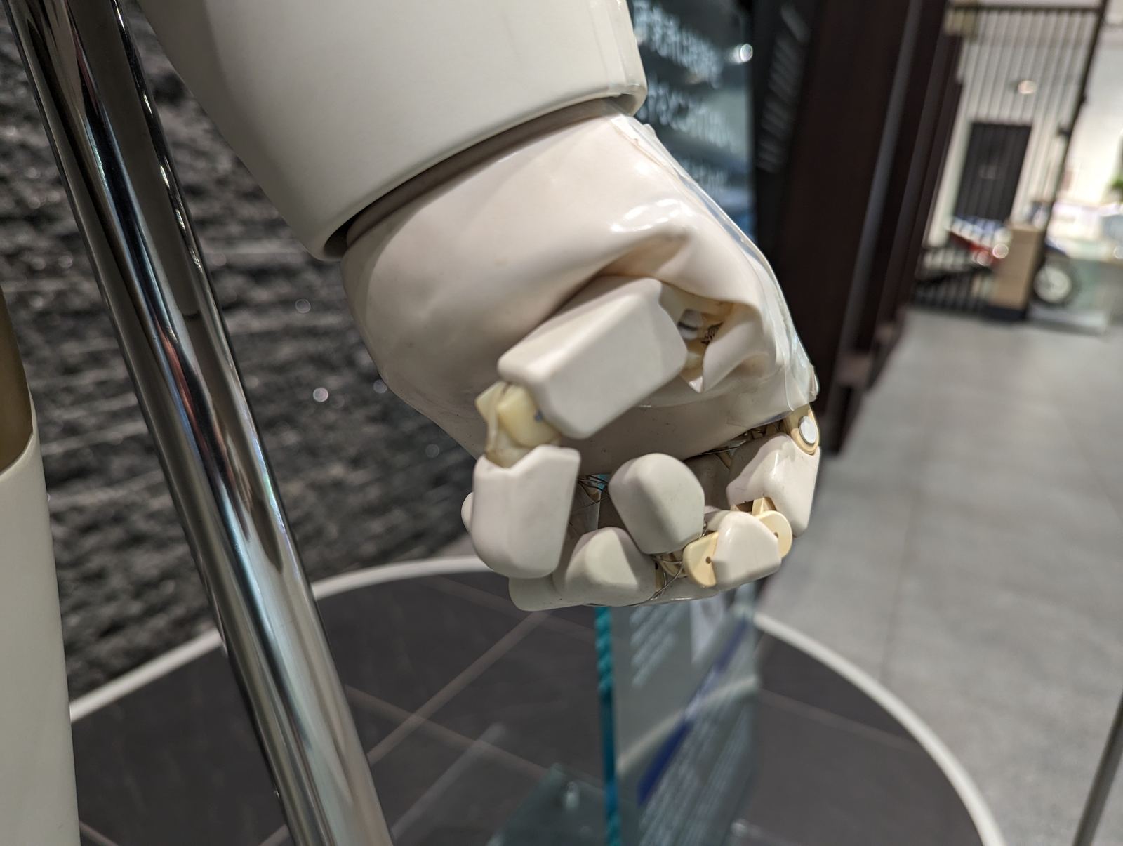 Honda's white ASIMO humanoid robot standing in a museum display